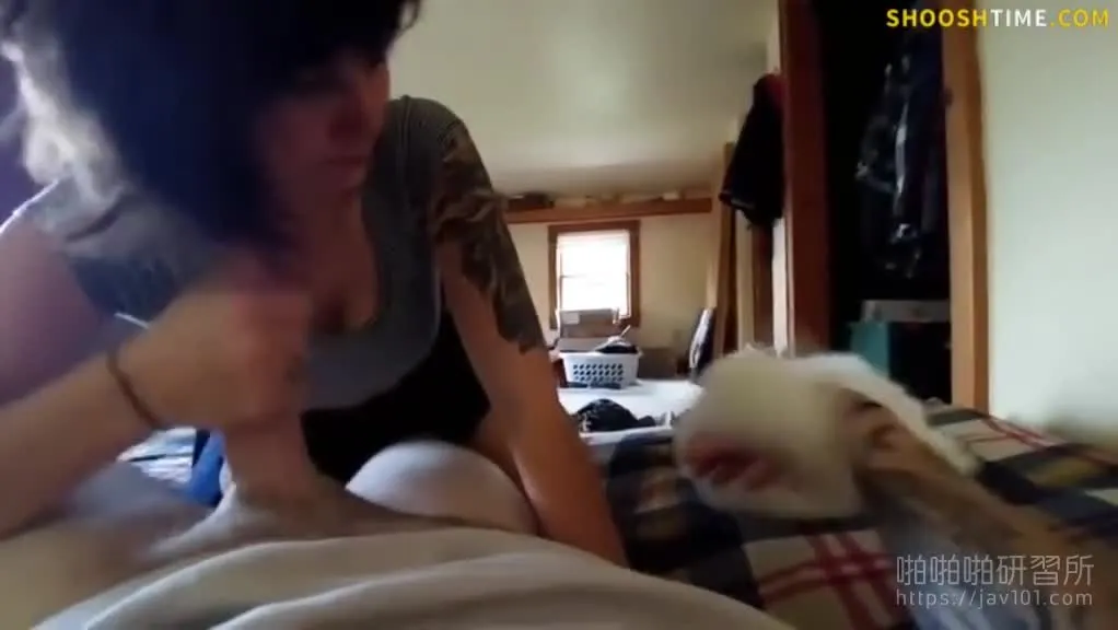 [EU and US] Ts pair of big-breasted women are constantly being played with by their boyfriends, even the cat they raise wants to join in.